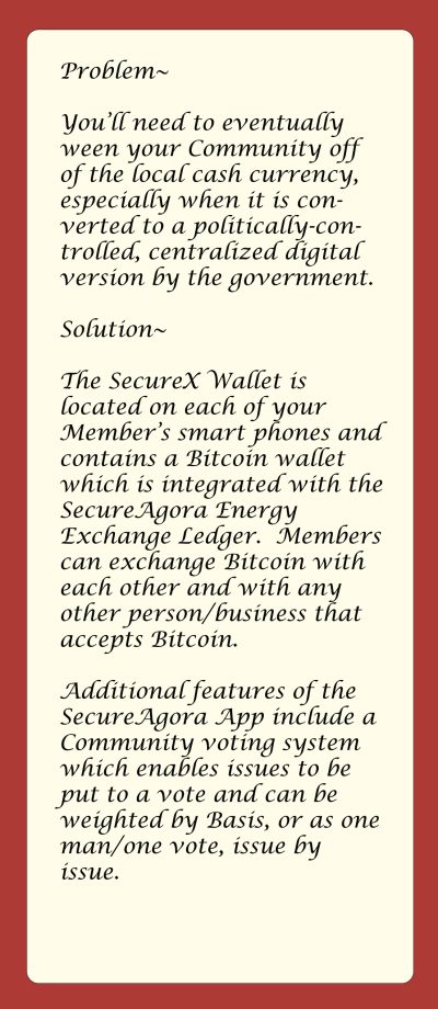 SecureAgora Transact via Bitcoin